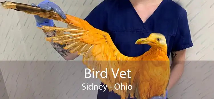 Bird Vet Sidney - Ohio