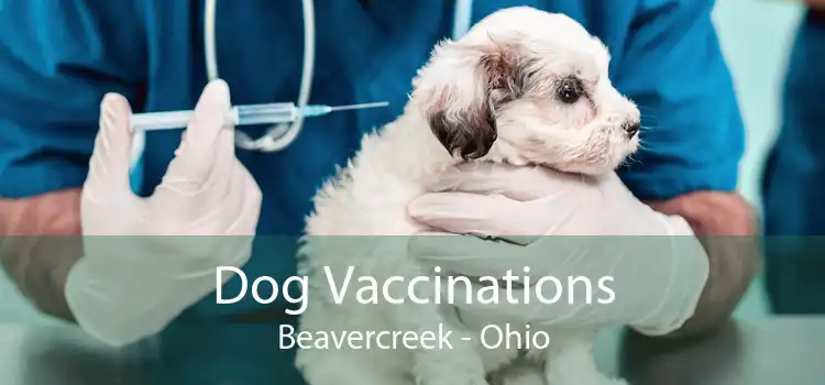 Dog Vaccinations Beavercreek - Ohio