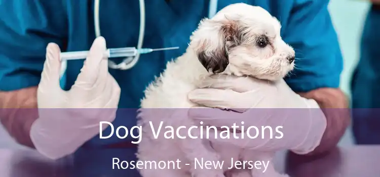 Dog Vaccinations Rosemont - New Jersey