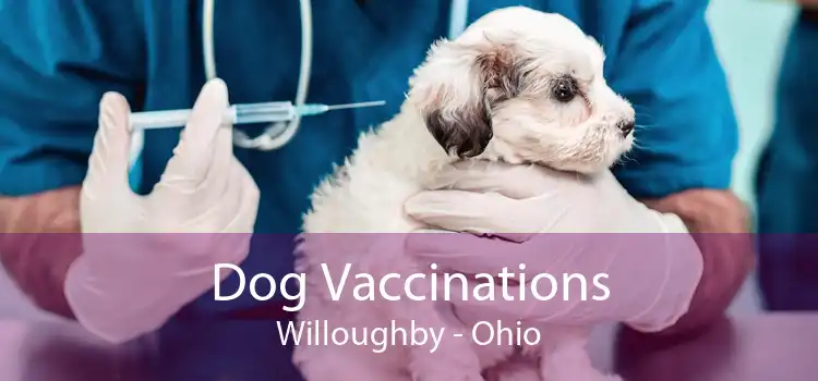 Dog Vaccinations Willoughby - Ohio