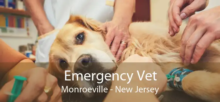 Emergency Vet Monroeville - New Jersey