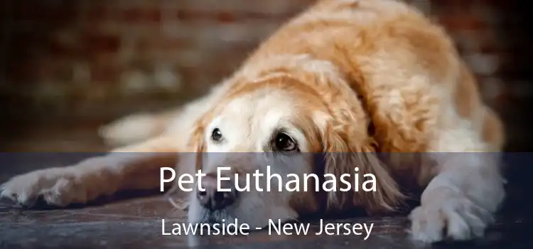 Pet Euthanasia Lawnside - New Jersey