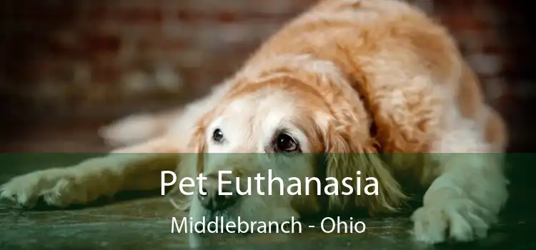 Pet Euthanasia Middlebranch - Ohio