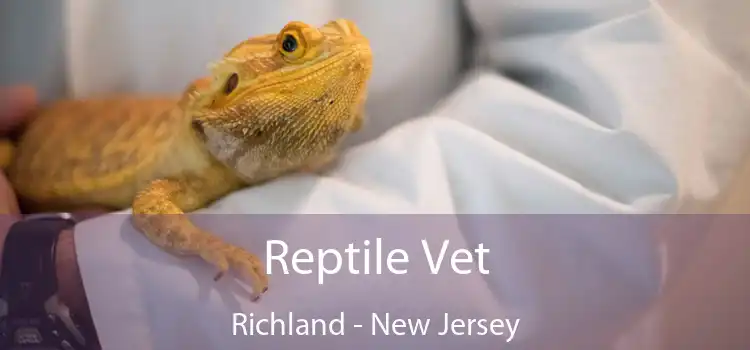 Reptile Vet Richland - New Jersey