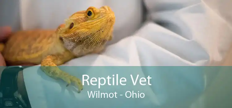 Reptile Vet Wilmot - Ohio